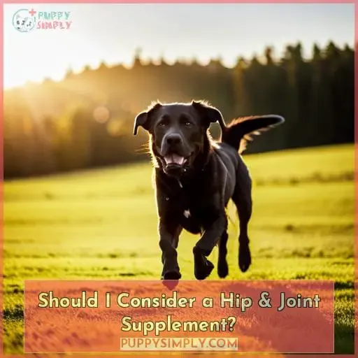 Should I Consider a Hip & Joint Supplement