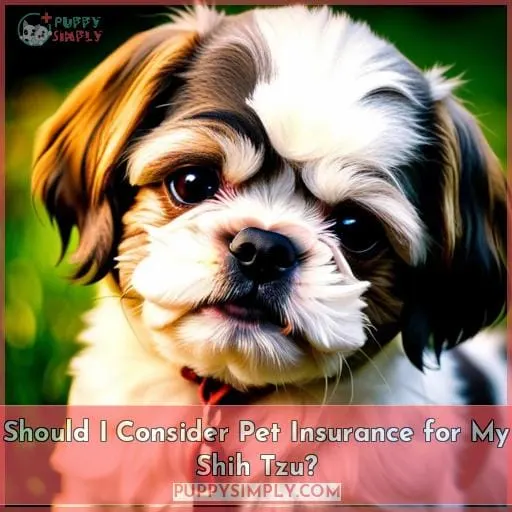 Should I Consider Pet Insurance for My Shih Tzu