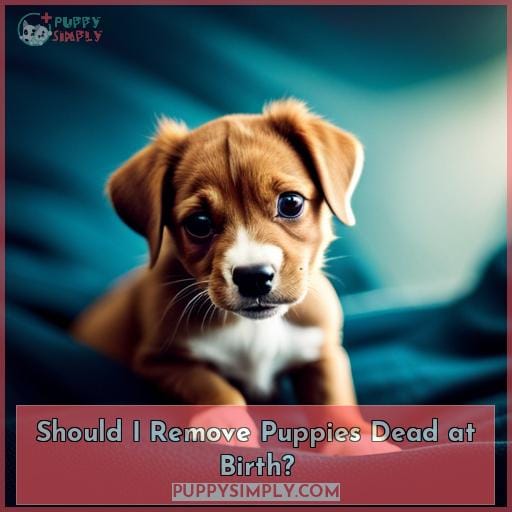 Should I Remove Puppies Dead at Birth