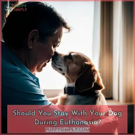Should You Stay With Your Dog During Euthanasia