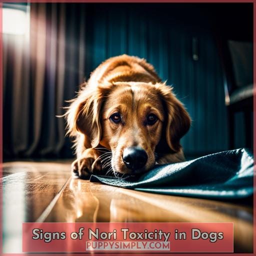 Signs of Nori Toxicity in Dogs