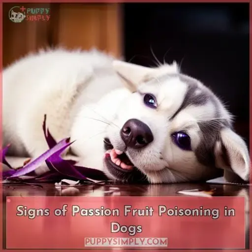 Signs of Passion Fruit Poisoning in Dogs