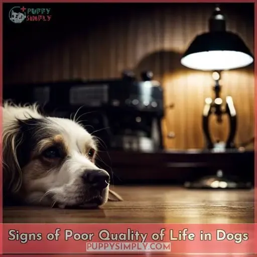 Signs of Poor Quality of Life in Dogs