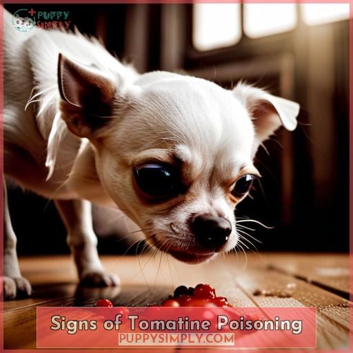 Signs of Tomatine Poisoning