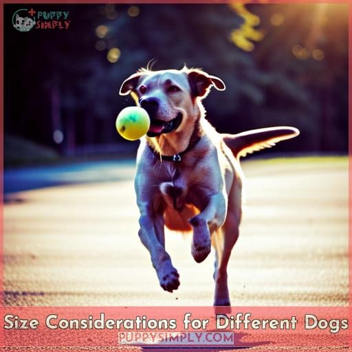 Size Considerations for Different Dogs