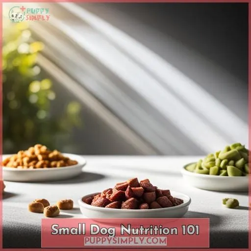 Small Dog Nutrition 101