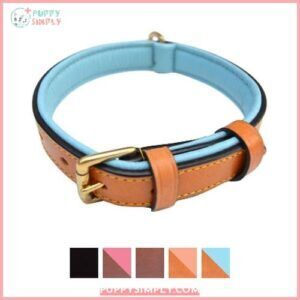 Soft Touch Collars Leather Two-Tone 166639