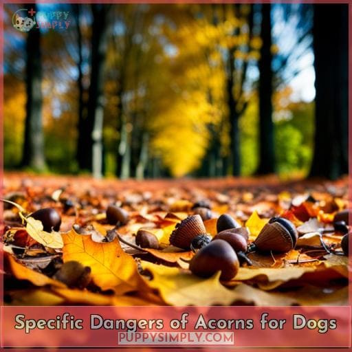 Specific Dangers of Acorns for Dogs