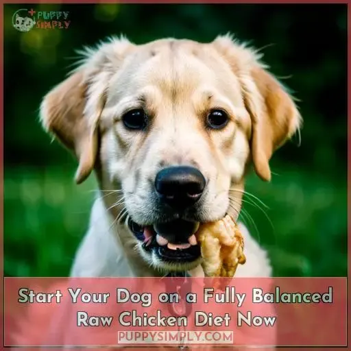 Start Your Dog on a Fully Balanced Raw Chicken Diet Now