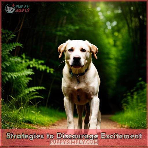 Strategies to Discourage Excitement