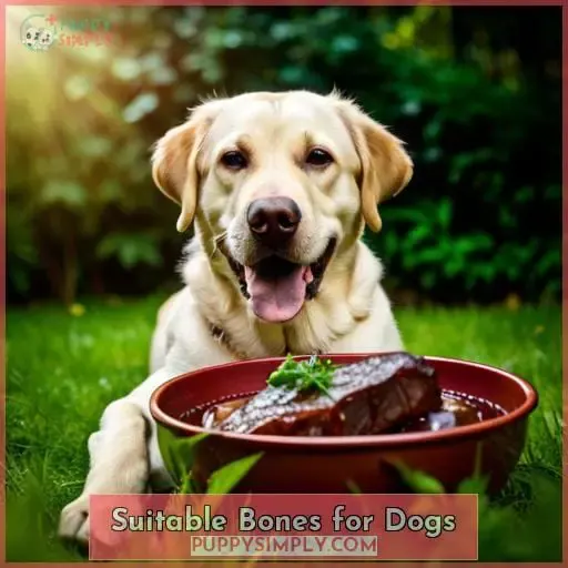 Suitable Bones for Dogs
