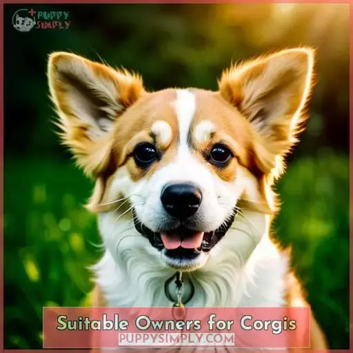 Suitable Owners for Corgis