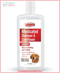 Sulfodene Medicated Shampoo & Conditioner B001A0FW20