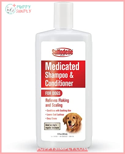Sulfodene Medicated Shampoo & Conditioner