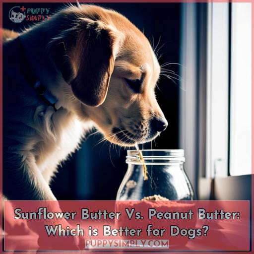 Sunflower Butter Vs. Peanut Butter: Which is Better for Dogs