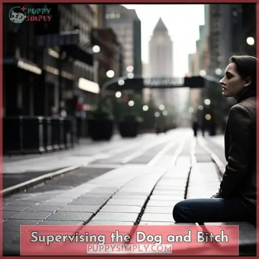 Supervising the Dog and Bitch