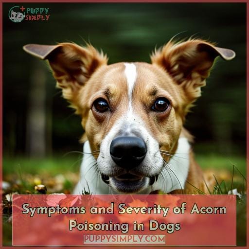 Symptoms and Severity of Acorn Poisoning in Dogs