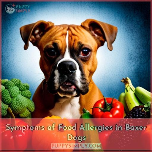 Symptoms of Food Allergies in Boxer Dogs