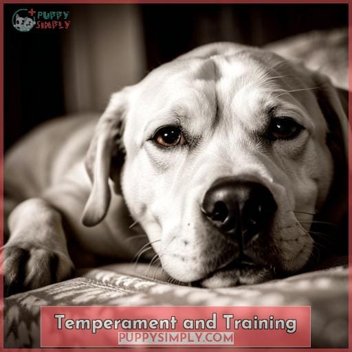 Temperament and Training