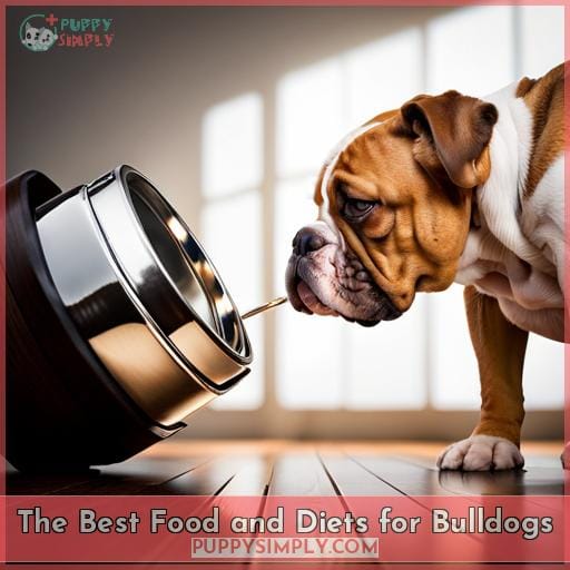 The Best Food and Diets for Bulldogs