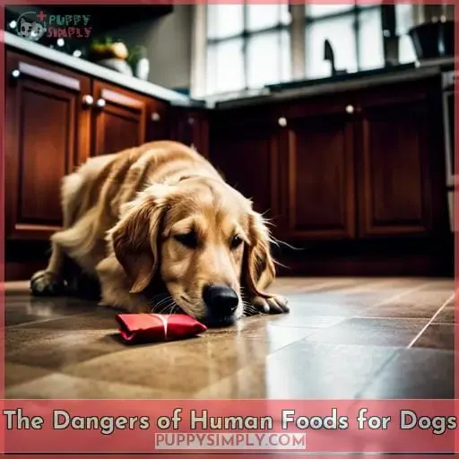 The Dangers of Human Foods for Dogs