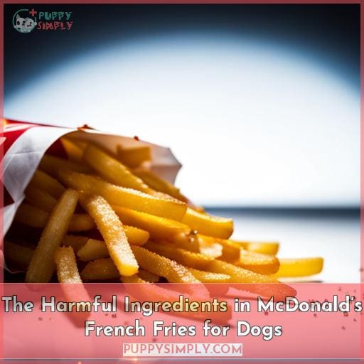 The Harmful Ingredients in McDonald’s French Fries for Dogs