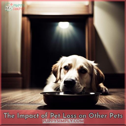 The Impact of Pet Loss on Other Pets