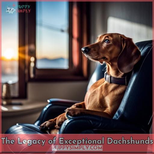 The Legacy of Exceptional Dachshunds