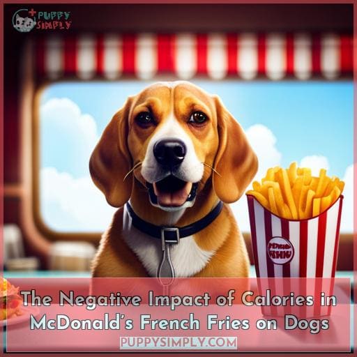 The Negative Impact of Calories in McDonald’s French Fries on Dogs