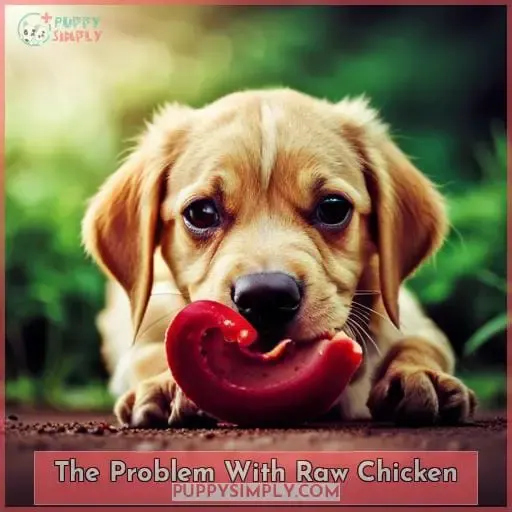 The Problem With Raw Chicken