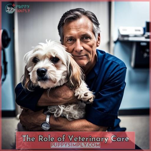 The Role of Veterinary Care