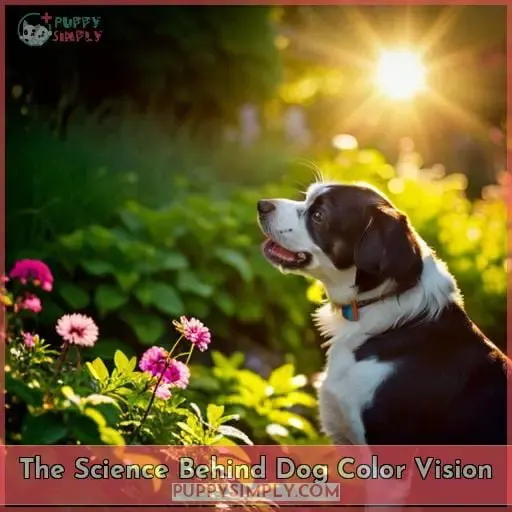 The Science Behind Dog Color Vision
