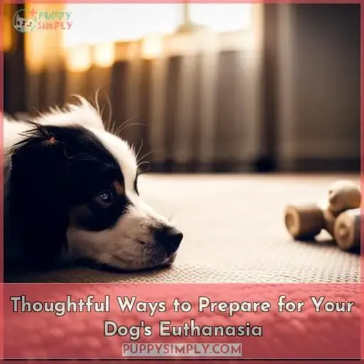 Thoughtful Ways to Prepare for Your Dog