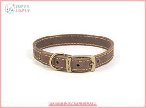 Timberwolf Leather Collar Sable 36-46cm B01H7N9544