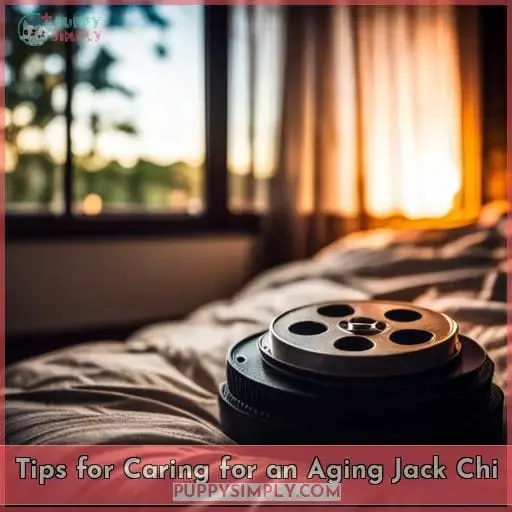 Tips for Caring for an Aging Jack Chi