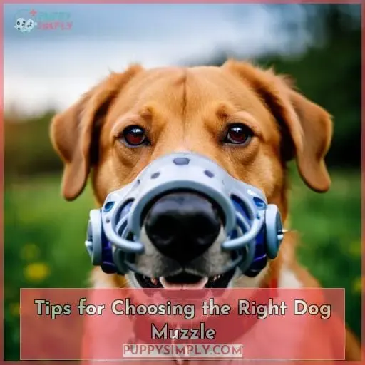 Tips for Choosing the Right Dog Muzzle