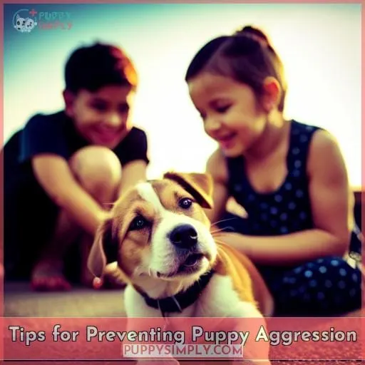Tips for Preventing Puppy Aggression