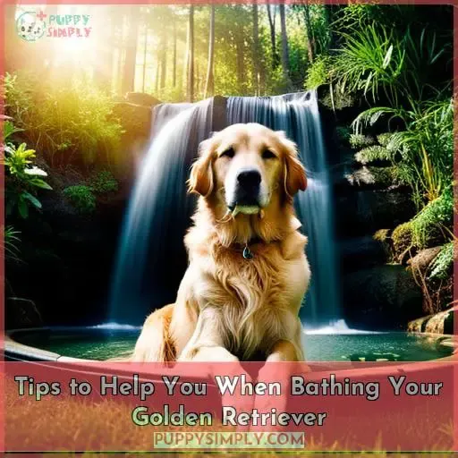 Tips to Help You When Bathing Your Golden Retriever