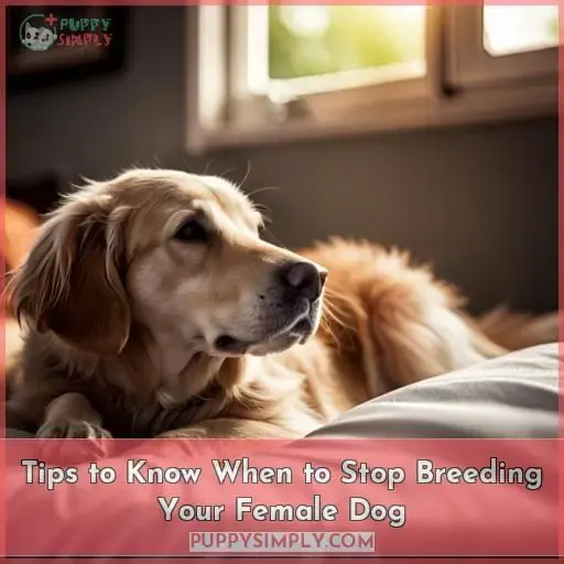 Tips to Know When to Stop Breeding Your Female Dog