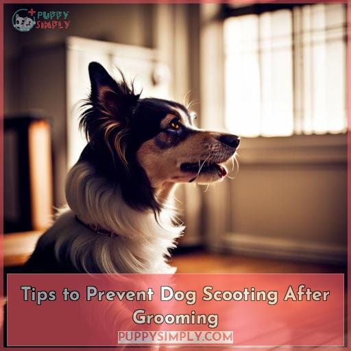 Tips to Prevent Dog Scooting After Grooming