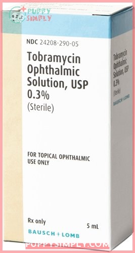 Tobramycin (Generic) Ophthalmic Solution 0.3%