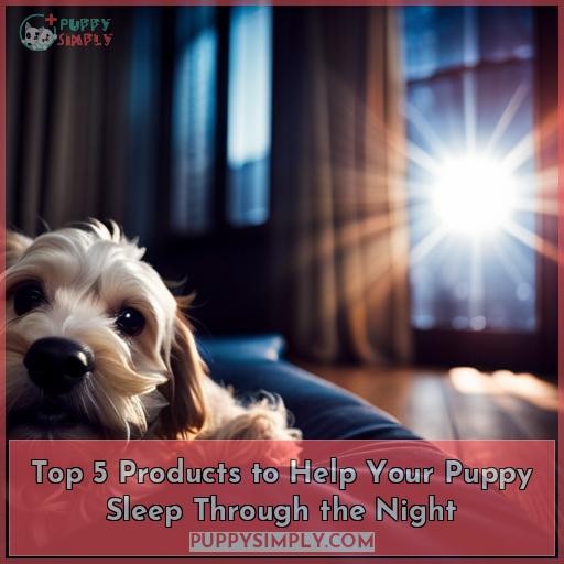 Top 5 Products to Help Your Puppy Sleep Through the Night