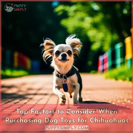 Top Factors to Consider When Purchasing Dog Toys for Chihuahuas