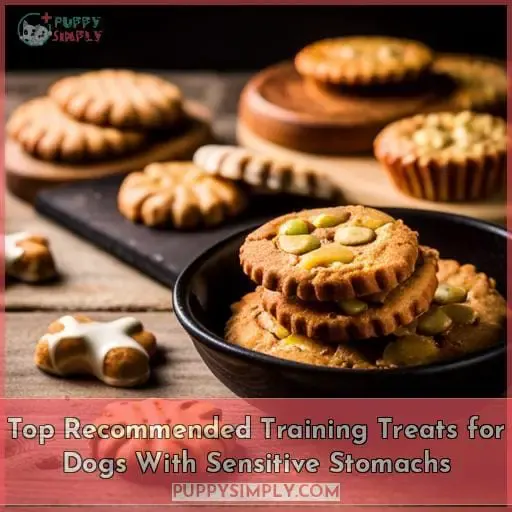 Top Recommended Training Treats for Dogs With Sensitive Stomachs