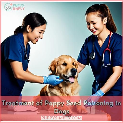 Treatment of Poppy Seed Poisoning in Dogs