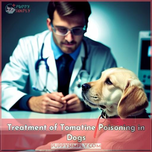 Treatment of Tomatine Poisoning in Dogs