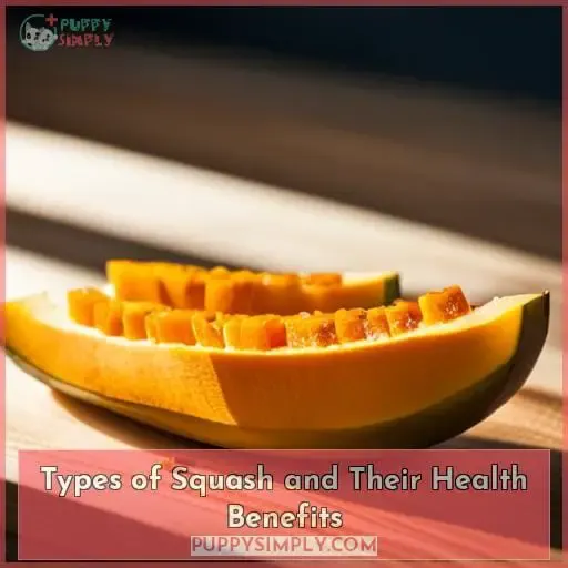 Types of Squash and Their Health Benefits