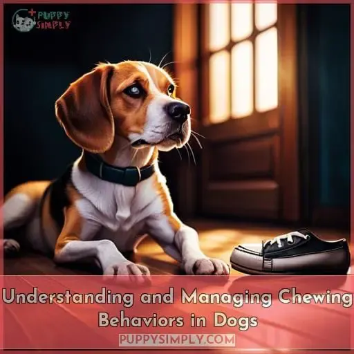 Understanding and Managing Chewing Behaviors in Dogs