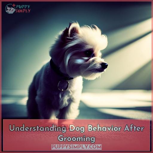 Understanding Dog Behavior After Grooming