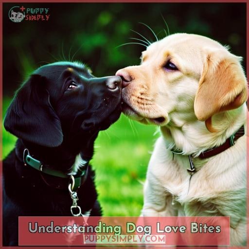 Understanding Dog Love Bites